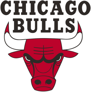 Current Bulls Logo
