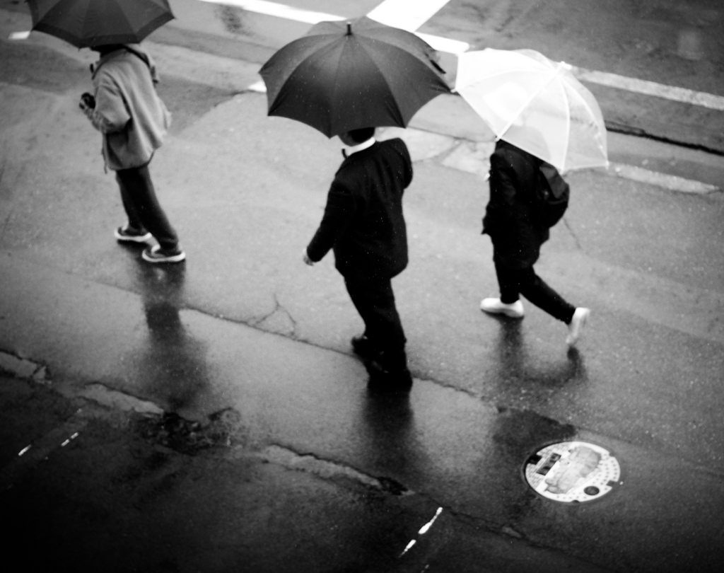 Turning Up at the Polls, Come Rain or Shine.      Does Weather Really Affect Voter Turnout?